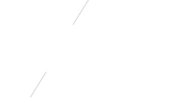 light logo